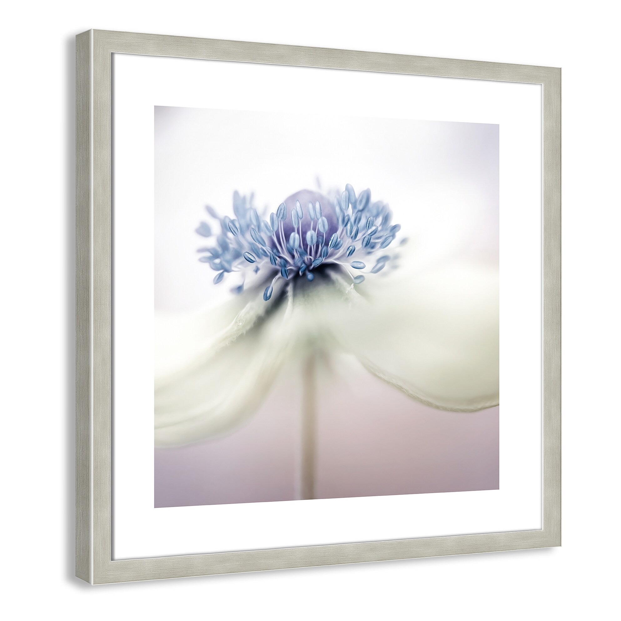*anemone* JASON FOX SCREEMIN' DEMON BUBBLE TIP ANEMONE – Jason Fox