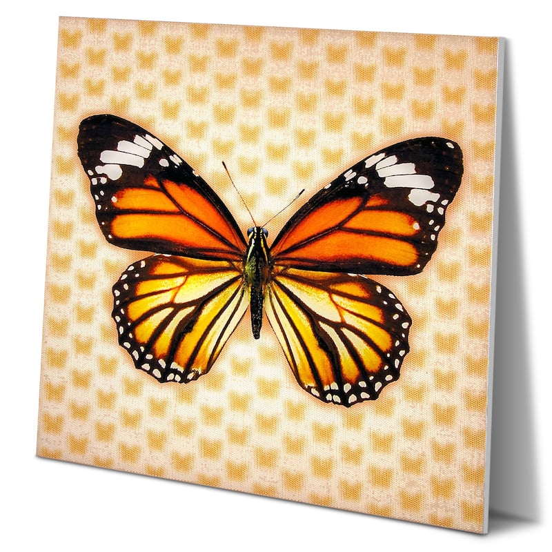 Matashi 5D Multi-Dimensional Wall Art - Custom Made 5D Monrach Butterfly Wall Art Print - 16 x 16