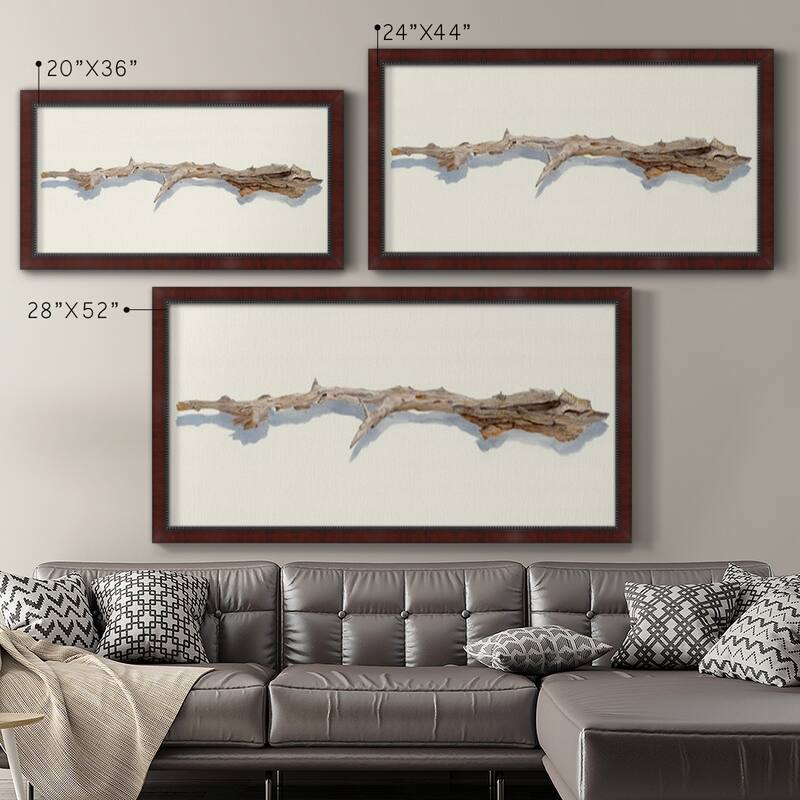 Driftwood Study I Premium Framed Canvas- Ready to Hang