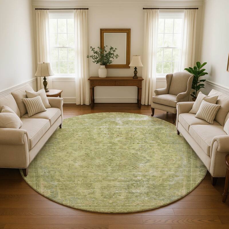 Premium Washable Super Soft Vintage Traditional Mayfield Rug - Cactus - 8' x 8'