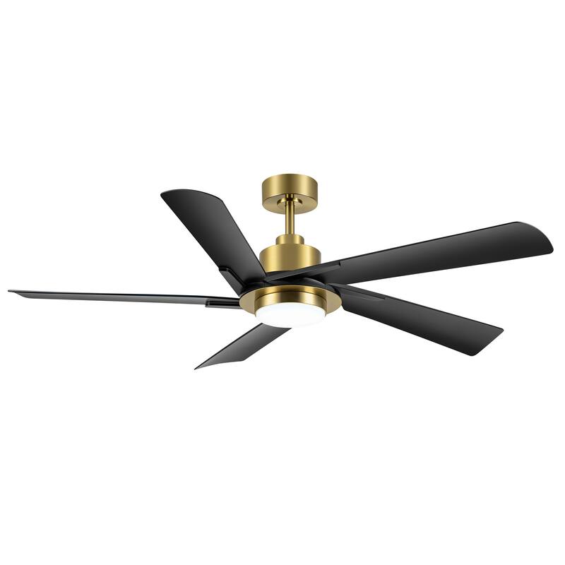 60" Modern Black ABS 5-Blade Propeller Ceiling Fan with Light and Remote