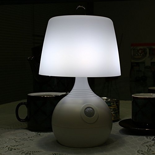 Motion sensor shop table light