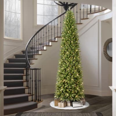 Puleo International 10 ft Pencil Fraser Fir Pencil Christmas Tree with 650 Clear Lights
