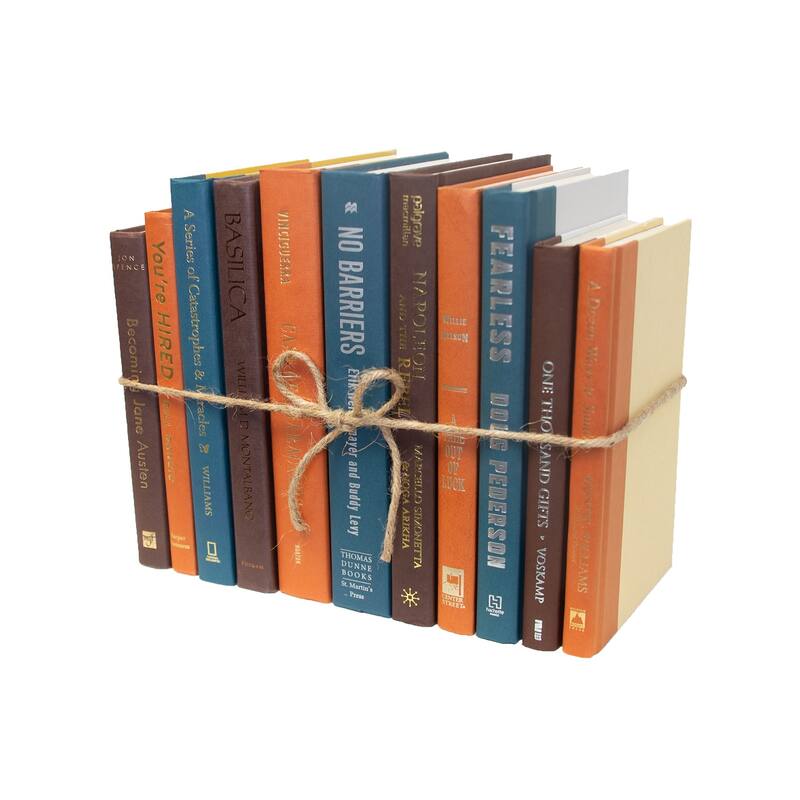 Books Blue Decorative Accessories: Rustic Spruce ColorPak