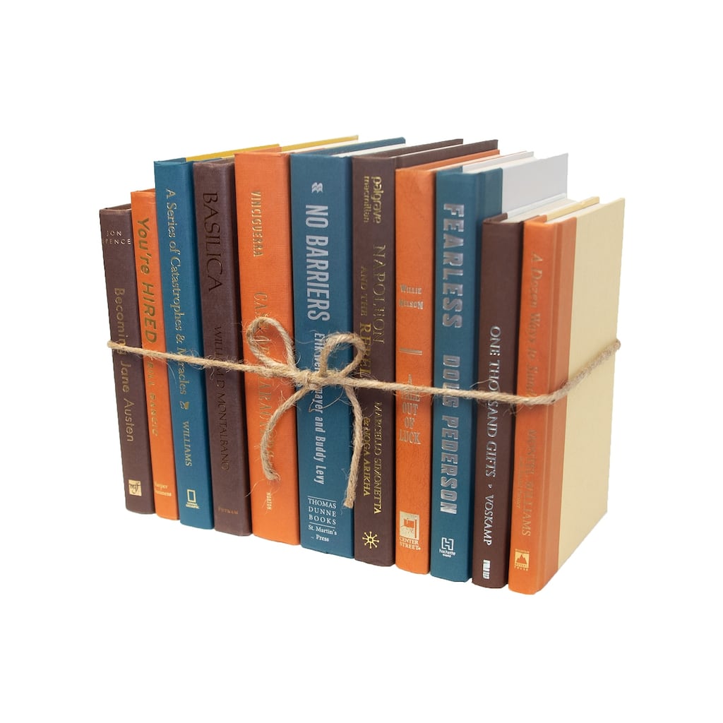 Books Blue Decorative Accessories: Rustic Spruce ColorPak