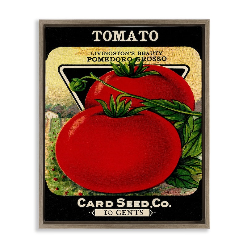 Stupell Vintage Garden Tomato Framed Floater Canvas Wall Art Design By Lil' Rue - 17 x 21 - Brown