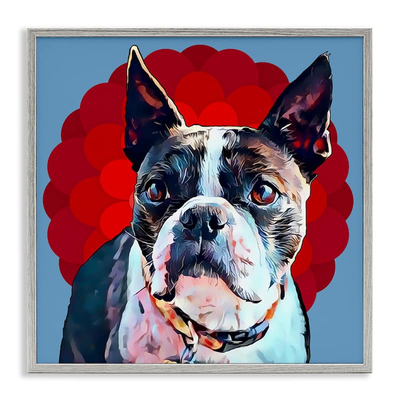 Stupell Boston Terrier Dog Portrait over Geometric Curved Pattern Framed Wall Art,12x12 - 24 x 24 - Grey