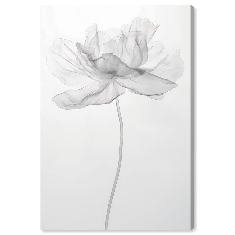 Fragile Beauty II Canvas by Art Remedy, Gallery Wrapped - 10" x 15"