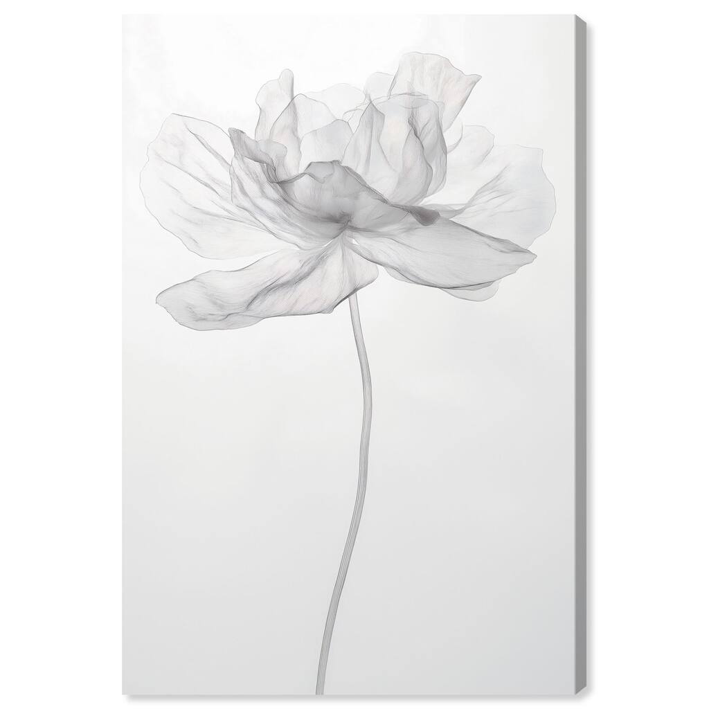 Fragile Beauty II Canvas by Art Remedy, Gallery Wrapped