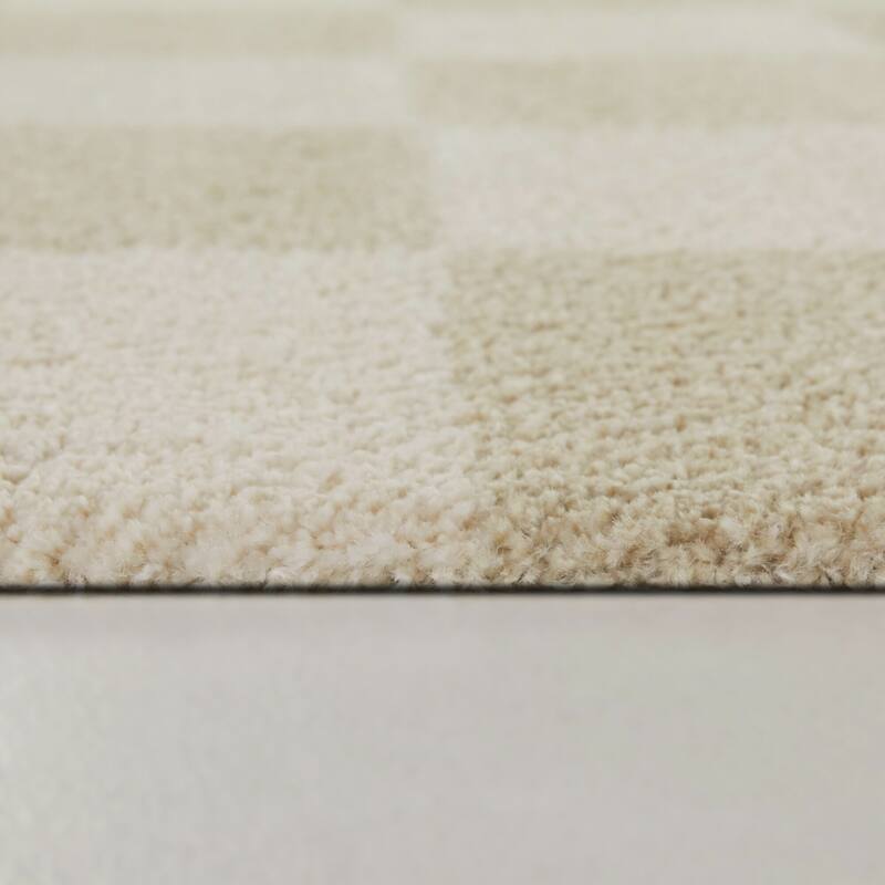 Reinhart Checkered Area Rug