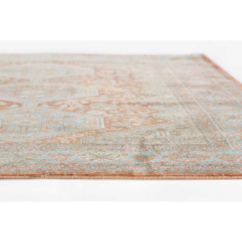 Momeni Lillihan Traditional Medallion Area Rug
