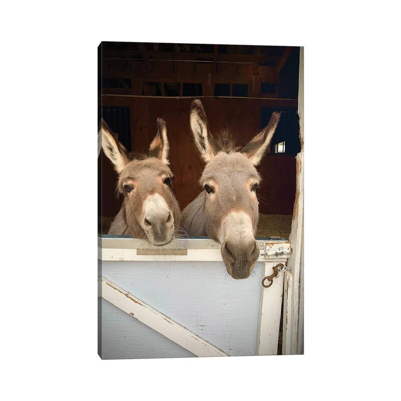 iCanvas "Pair Of Donkeys" by Susan Vizvary Canvas Print
