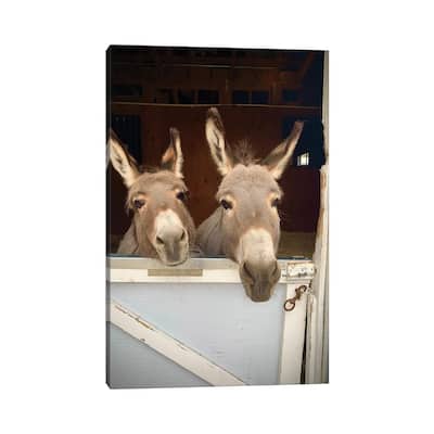 iCanvas "Pair Of Donkeys" by Susan Vizvary Canvas Print