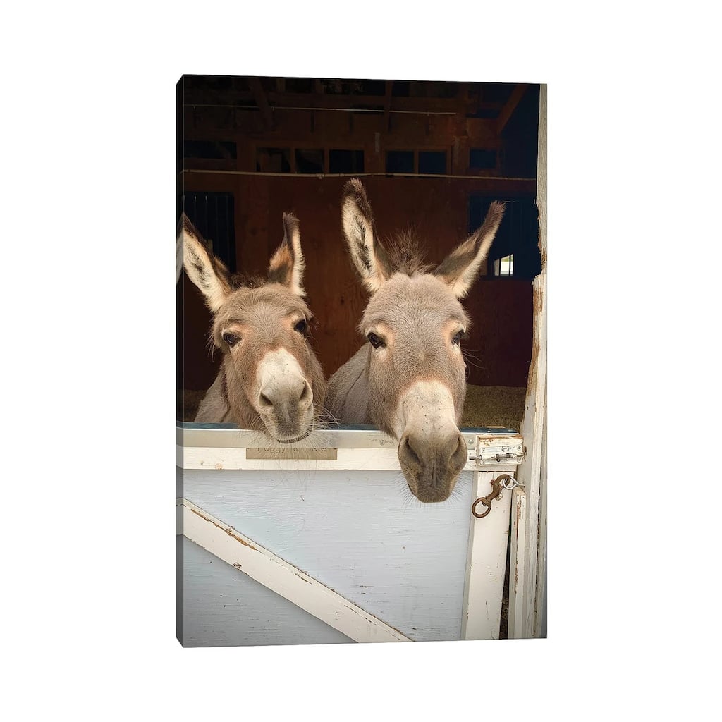 iCanvas "Pair Of Donkeys" by Susan Vizvary Canvas Print