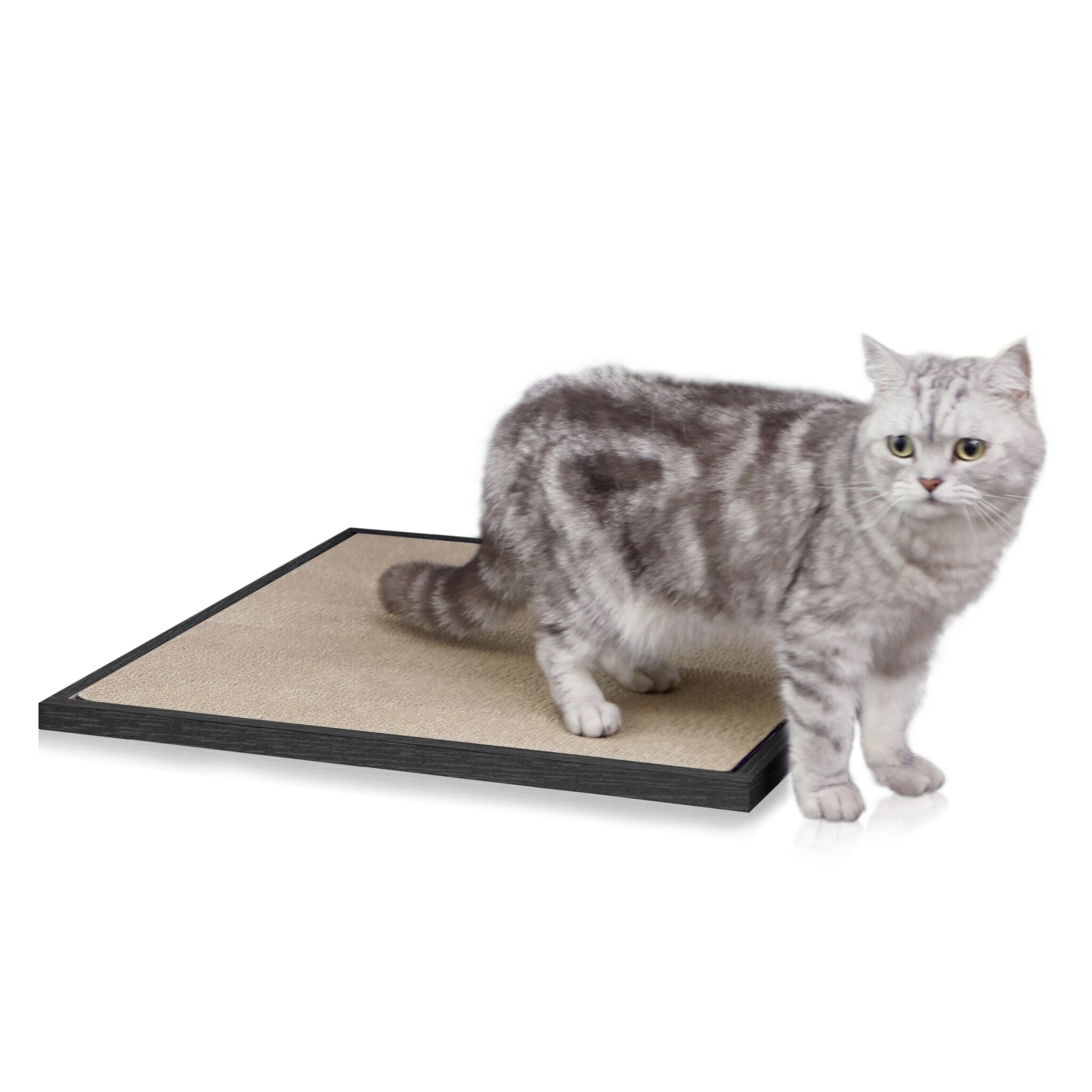 Cat Litter Mat Black Tool Free Assembly and Uniquely Crafted from Sustainable Non Toxic zBoard Paperboard
