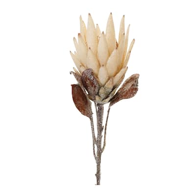 Beige Protea Flower Stem (Set of 2) - N/A
