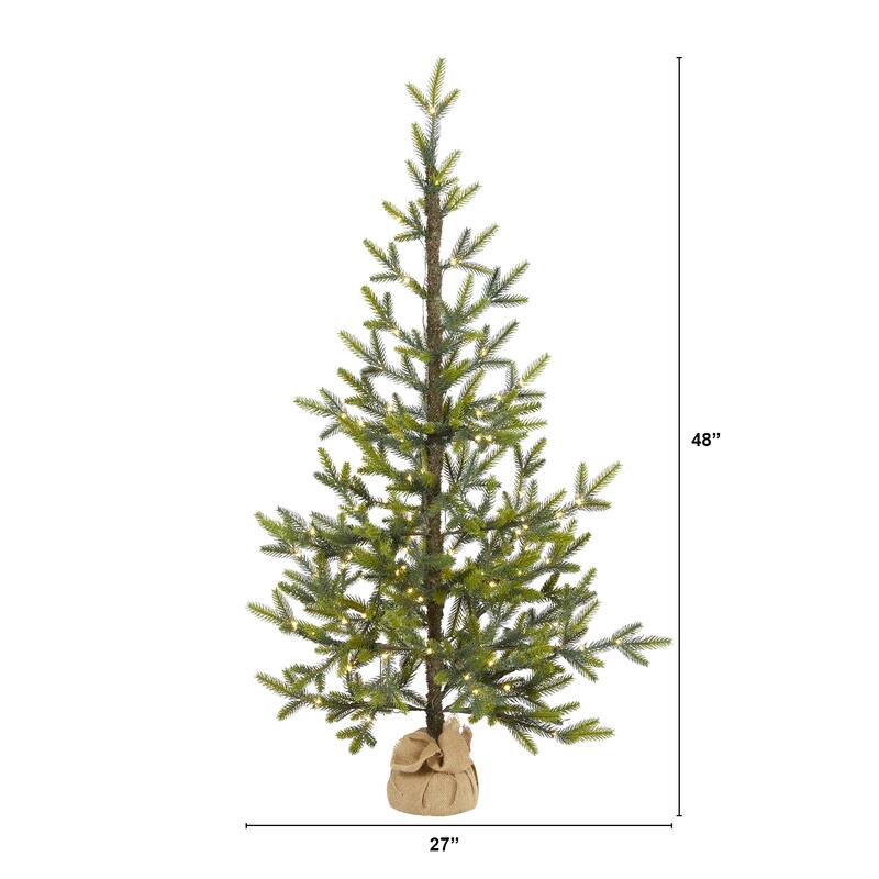 4' Fraser Fir "Natural Look" Christmas Tree with 100 Clear LED Lights - Green