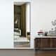 Neutypechic Accent Metal Frame Full-Length Wall-Mounted Hanging Mirror