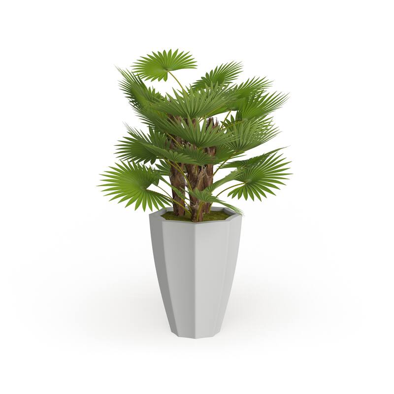 White Fiberglass Contemporary Artificial foliage - 35"L x 33"W x 54"H