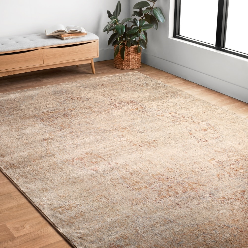 Alexander Home Contessa Traditional Medallion Desert Distressed Rug