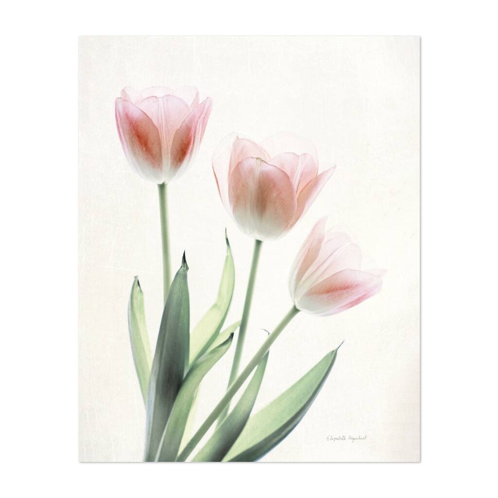 Light and Bright Floral II Photography Nature Tulips Art Print/Poster