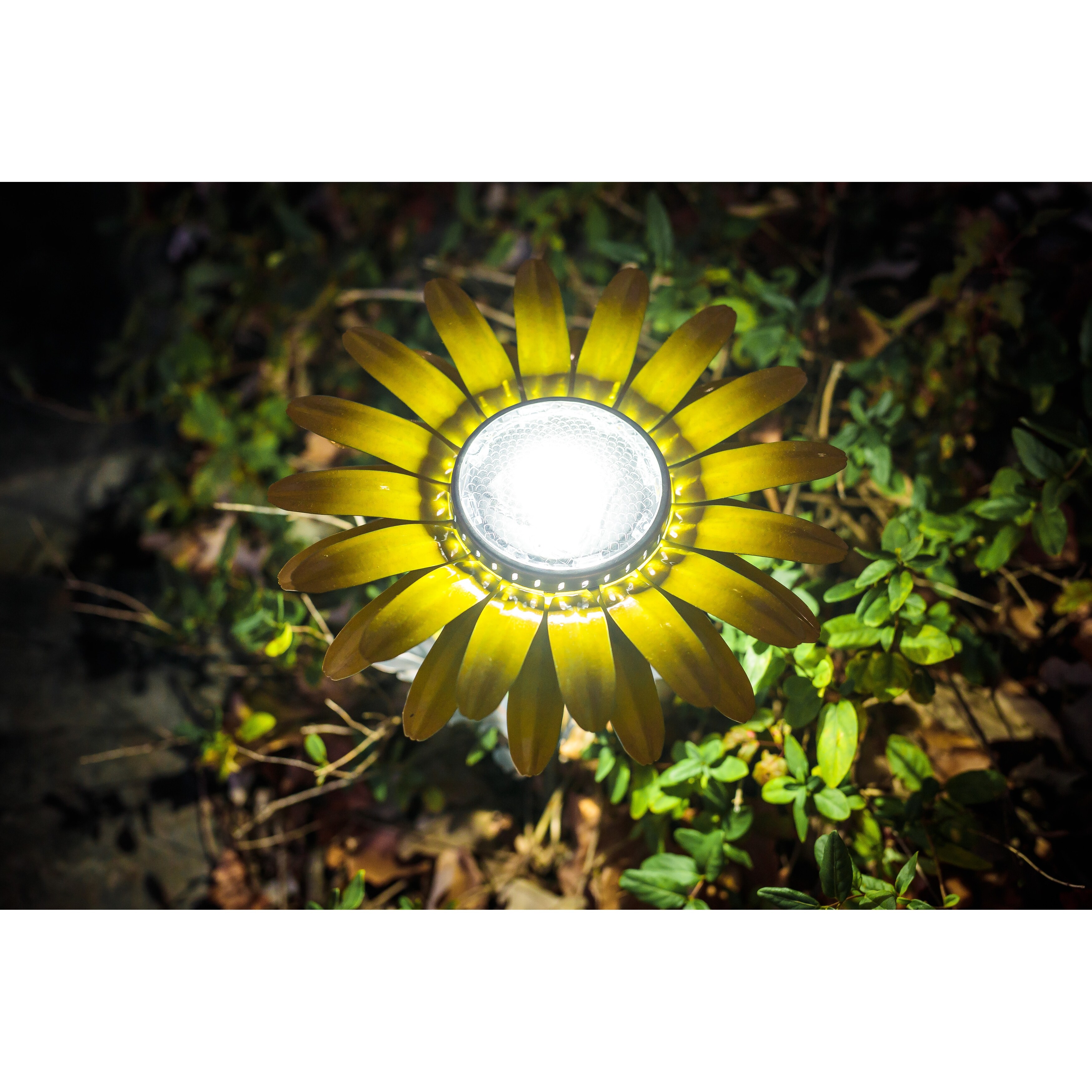 Daisy Solar Garden Light | eBay