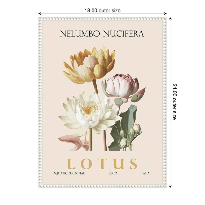 Vintage Botanical Lotus Illustration by Christopher Giampietro Framed Canvas Wall Art Print - White - 18 x 24 in