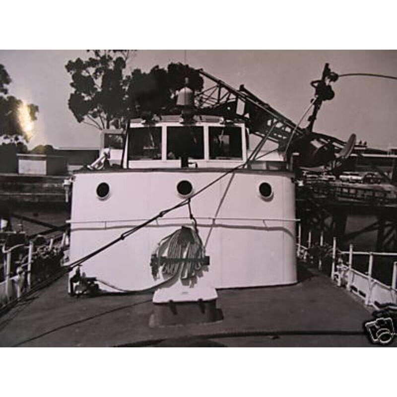 USCGC Cape Carter (WPB-95309) 36 Inches L Ship Model