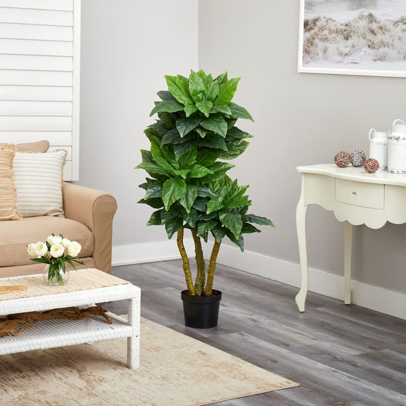 Large Bird Nest Tree Fern 5ft Indoor Outdoor Decor Lush Green Foliage - 5ft.