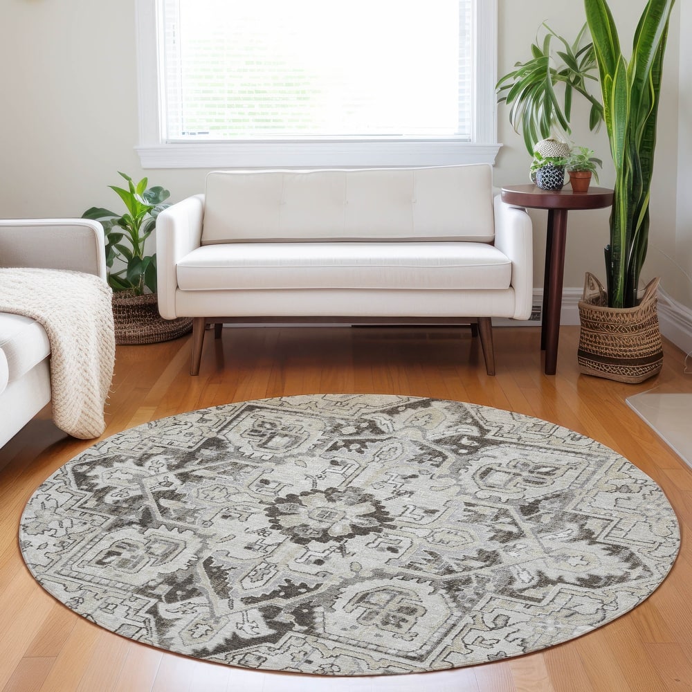 Machine Washable Indoor/ Outdoor Traditional Boho Chantille Rug
