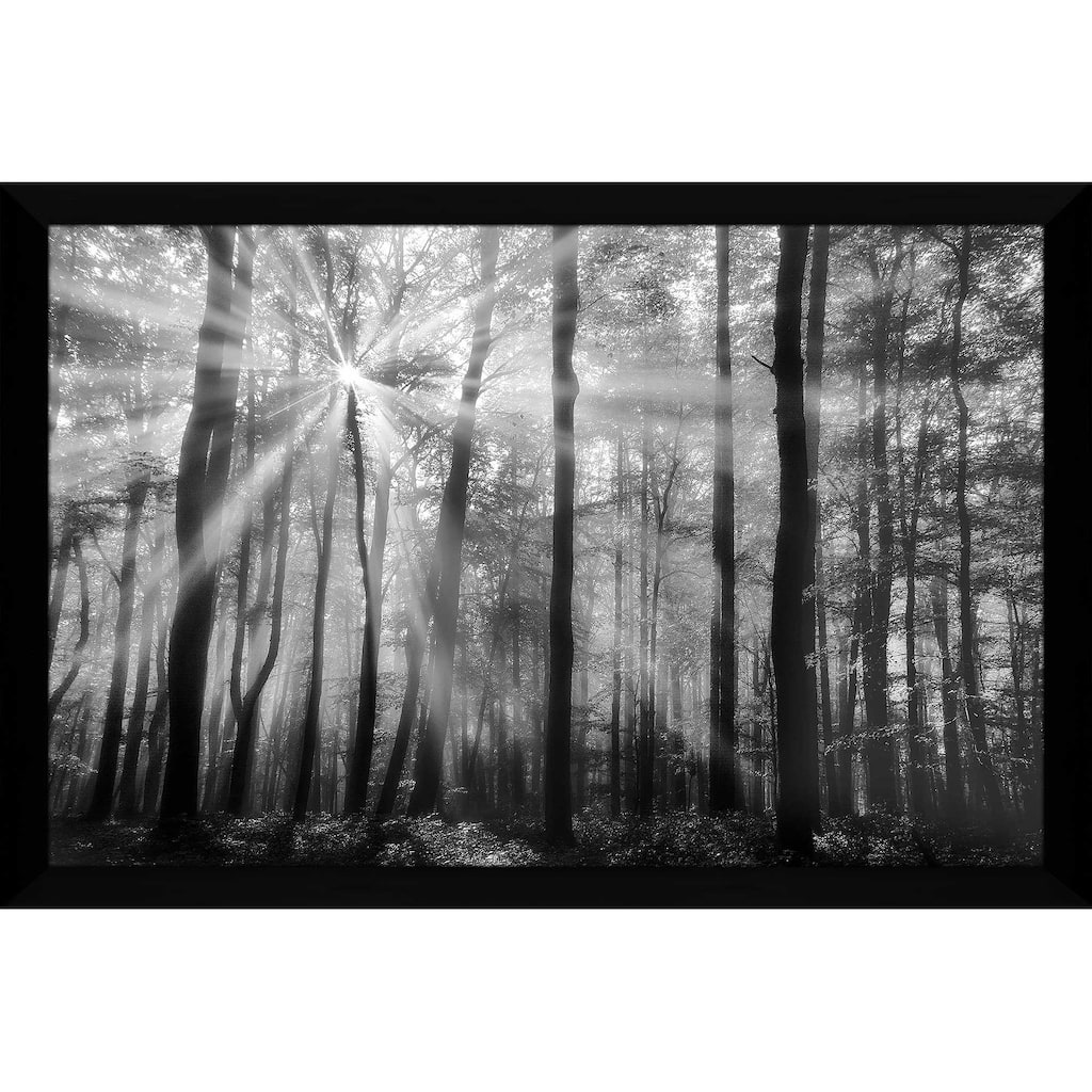 "Breaking Through" by Irene Weisz Print on Acrylic