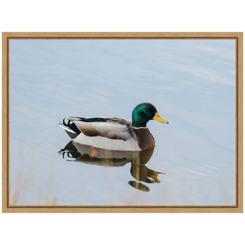 Kate and Laurel Sylvie Mallard Duck Framed Canvas by Crystal Lynn Collins