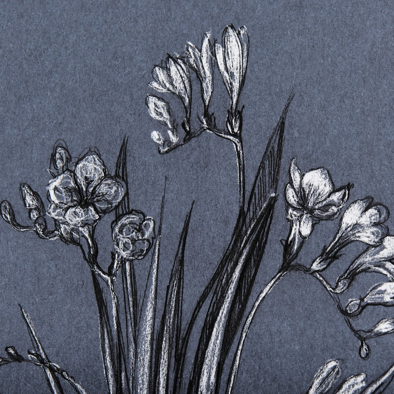 Botanical Sketches III (Blue) Framed Art Print