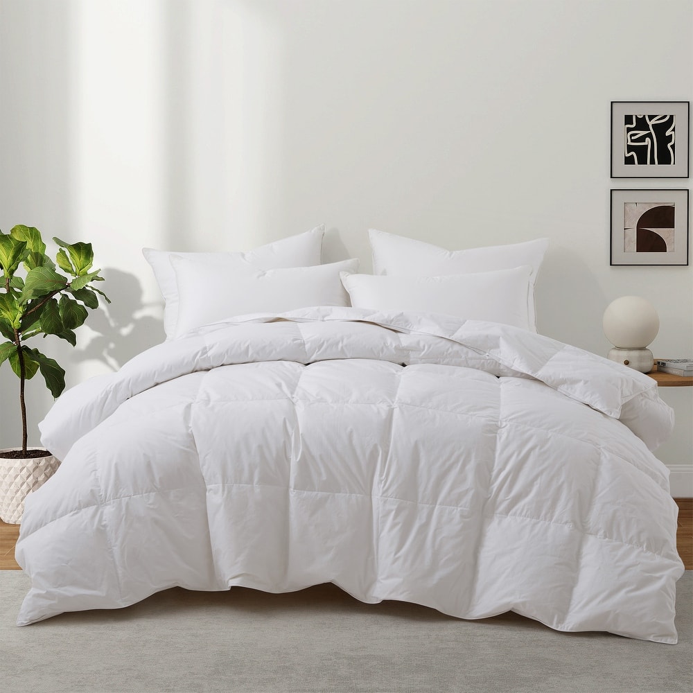 All Season 100% Cotton Feather Down Comforter Duvet Insert