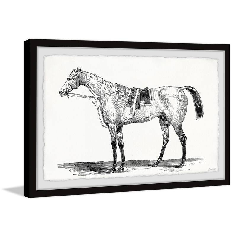 Ready for the Ride Framed Print