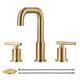 Option Brushed Gold