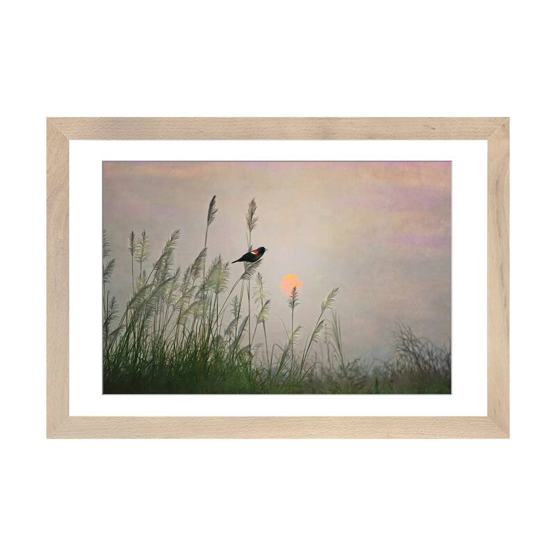 iCanvas "Red Winged Blackbird In Marshes At Dusk" by Laura D Young - Natural - 24x32x1