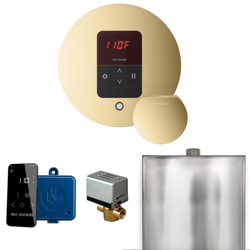 Mr Steam BBR Basic Butler Package Steam Shower Control Package with - Polished Brass