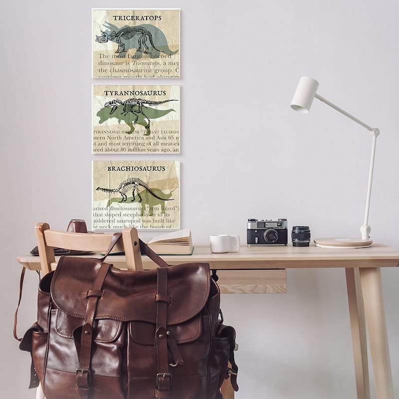 Stupell Textbook Style Dinosaur Skeletons Informational Text 3 Piece Canvas Wall Art Set Design By Daphne Polselli