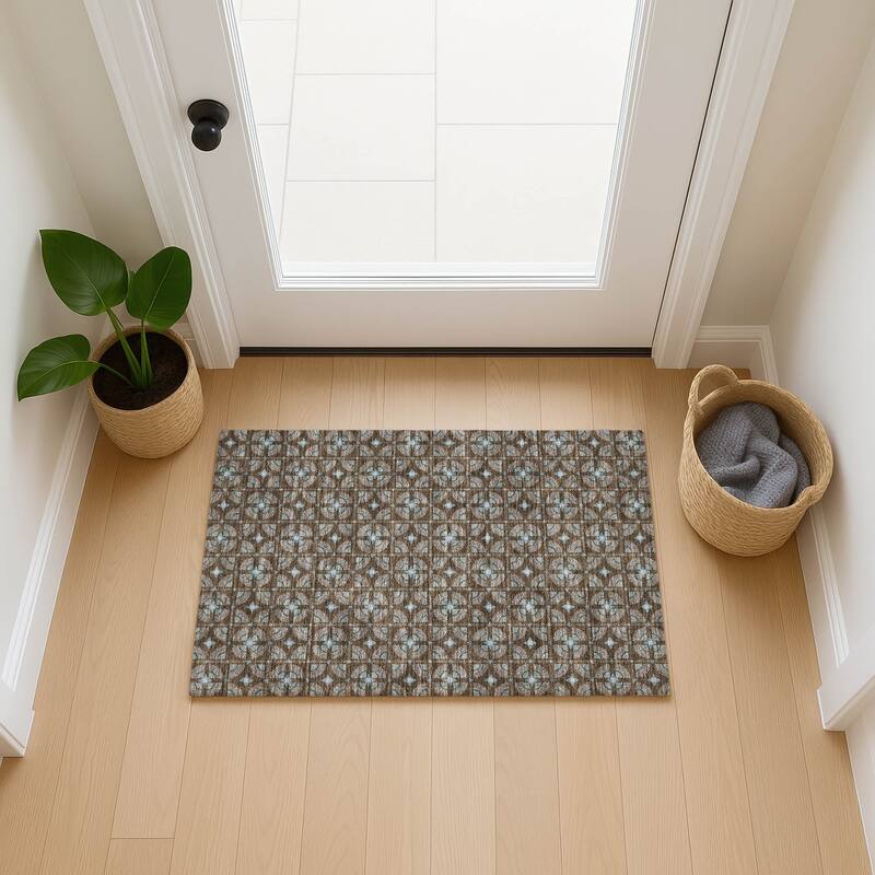 Machine Washable Indoor/ Outdoor Modern Roeland Chantille Rug