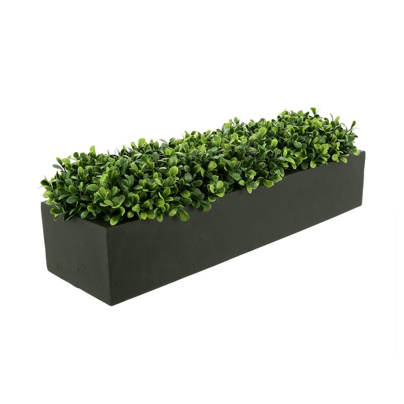 UV Rated Outdoor Boxwood Arranged in Fiberstone Planter - Green