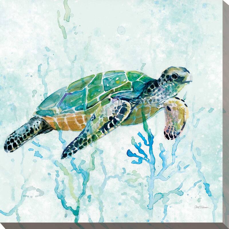"Sea Turtle Swim I" by Carol Robinson Print on Canvas