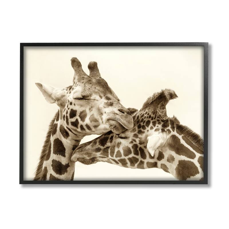 Stupell Sweet Cuddling Giraffes Sepia Wildlife Photography Portrait Framed Wall Art, Design by Carrie Ann Grippo-Pike - Tan