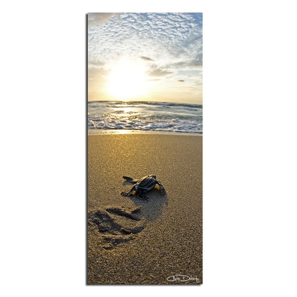 Ready2HangArt 'Baby Sea Turtle' Wrapped Canvas Wall Art. Opens flyout.
