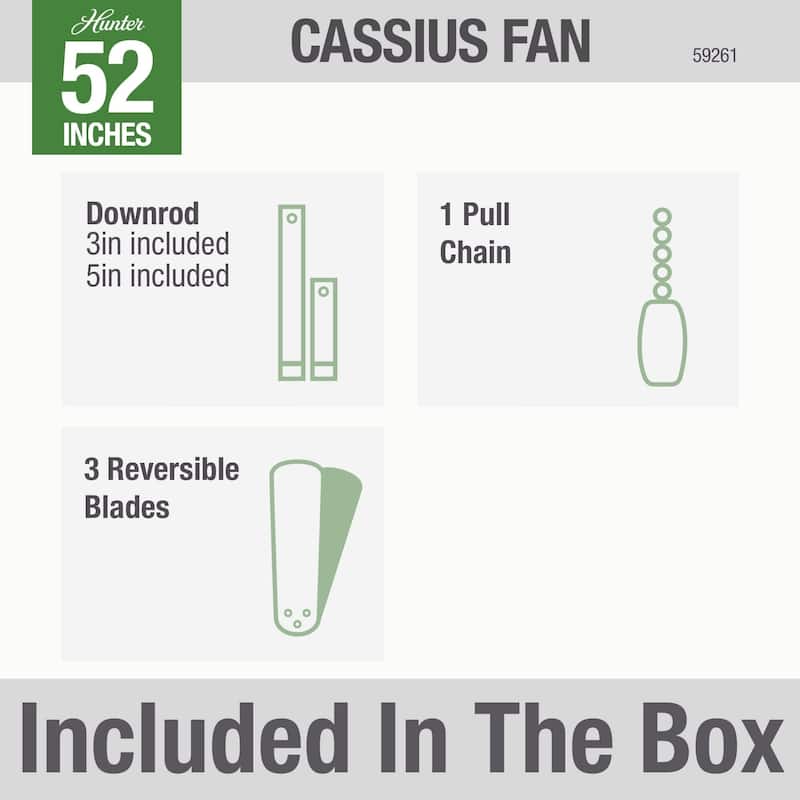 Hunter 52" Cassius Outdoor Ceiling Fan with Pull Chain, Damp Rated - Industrial, Contemporary, Farmhouse