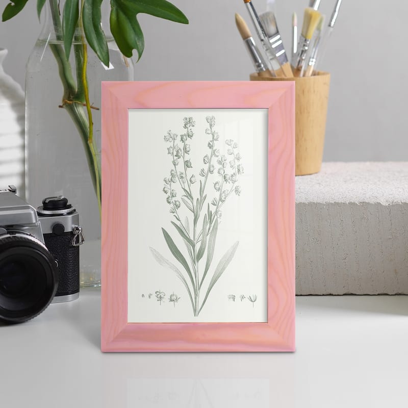 Botanical Study in Sage I -Framed Print w/glass-Cherry Red