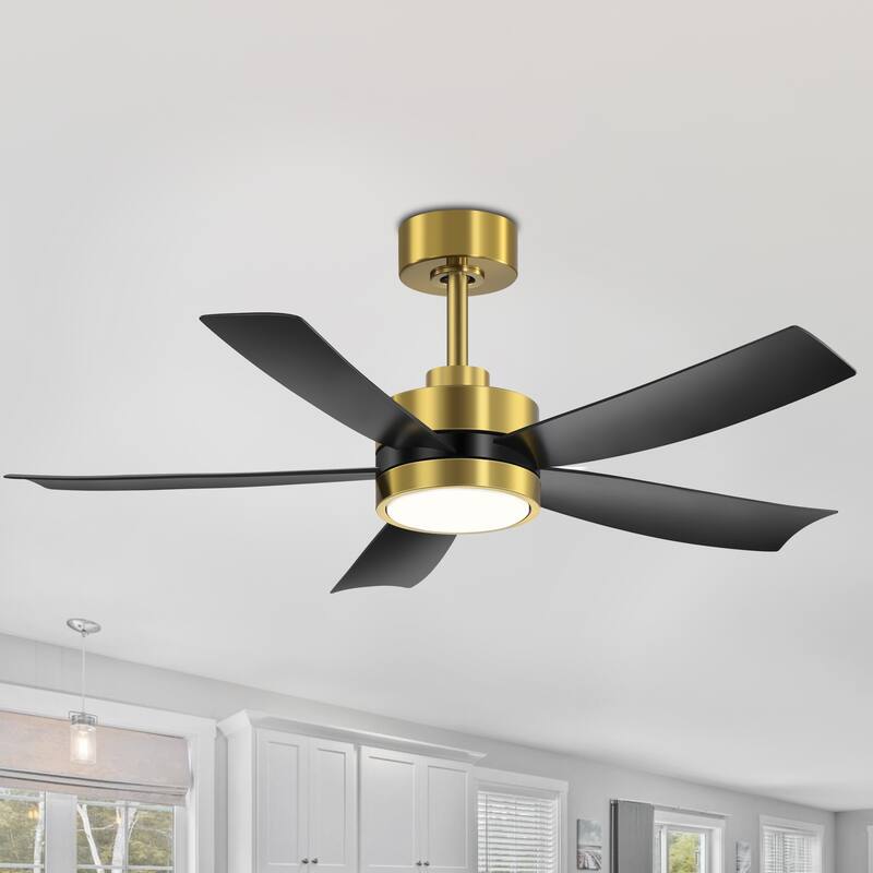 Breezary 65"/52"/42" 5-Blade LED Ceiling Fan with Light Kit and Remote
