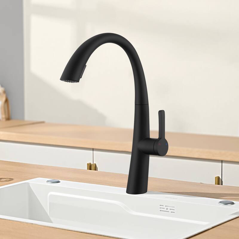 Topcraft Stainless Steel Single Handle Pull-Out Kitchen Faucet
