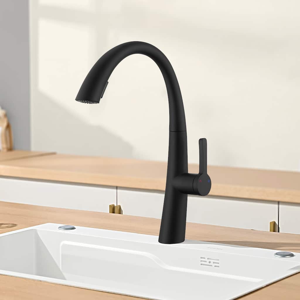 Topcraft Stainless Steel Single Handle Pull-Out Kitchen Faucet