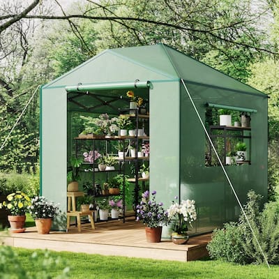 8x6 FT/8x12 FTPortable Greenhouse for Gardening, Walk-in Plant Houses for Winter Protection